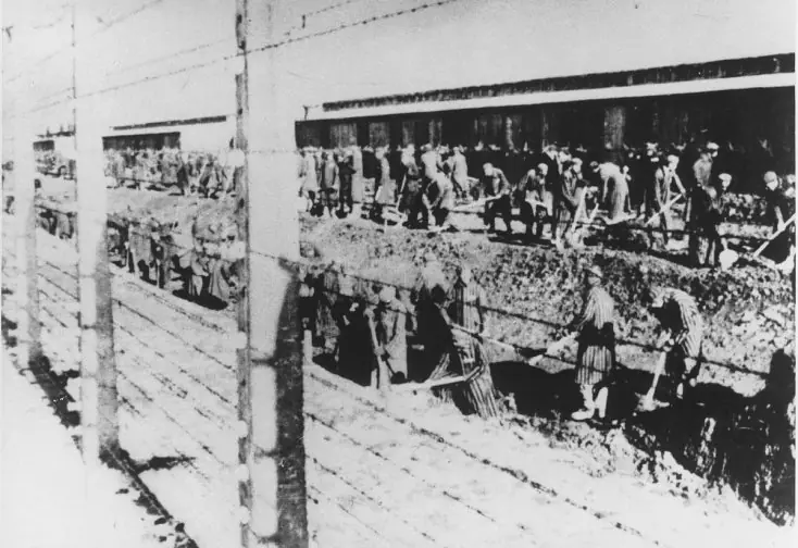 A la sombra de la muerte - Los enamorados de Auschwitz A la sombra de la muerte - Los enamorados de Auschwitz