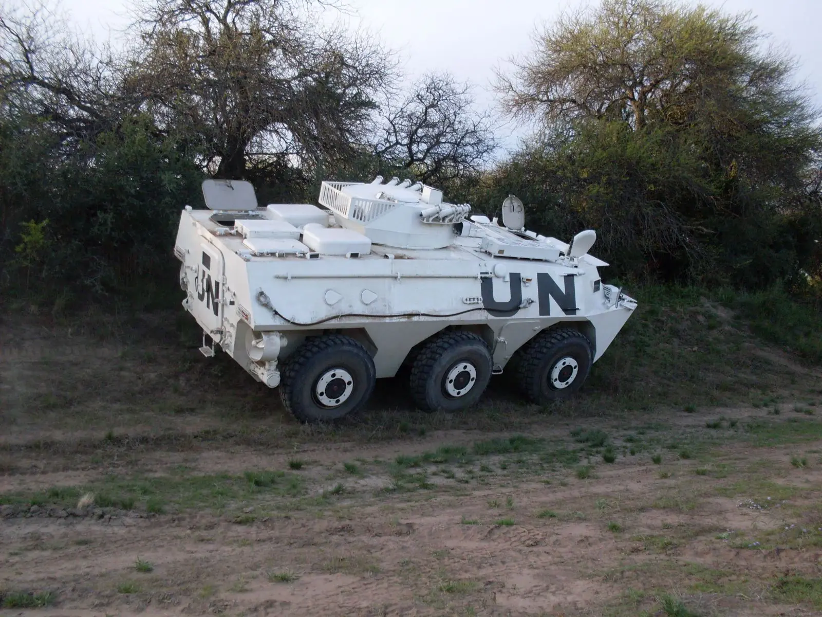 Arg