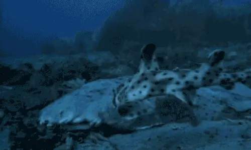 fuuuu