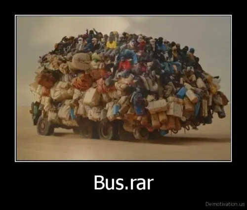 jackass