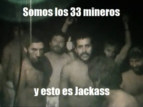 jackass
