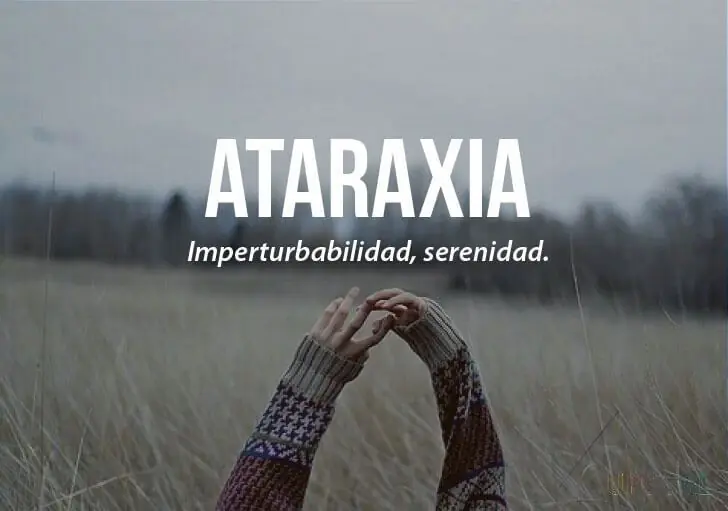 Algunas palabras interesantes y/o intraducibles