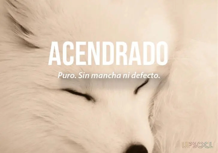 inteligencia