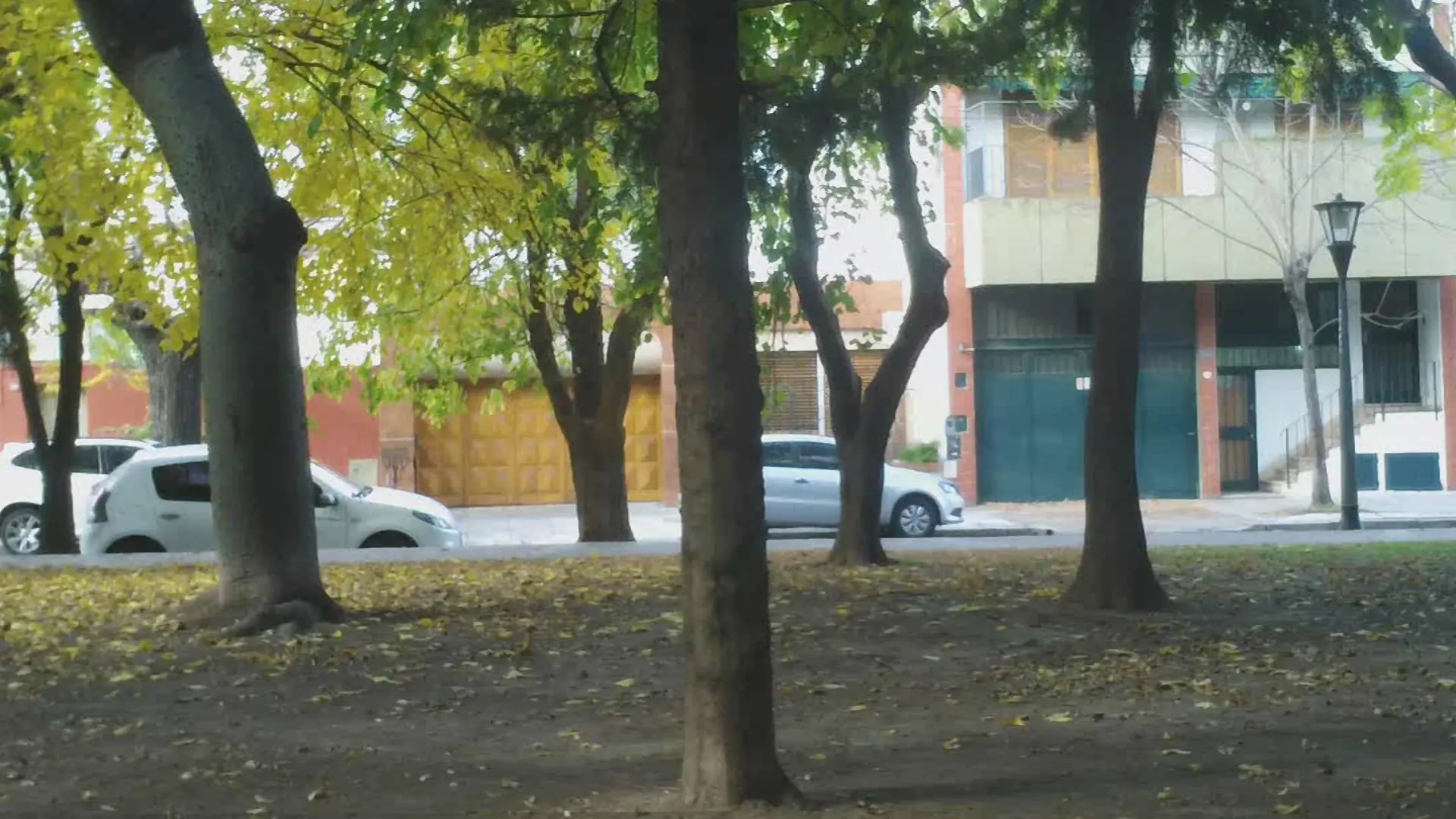 aparecer detras de columna