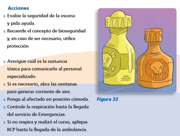 primeros