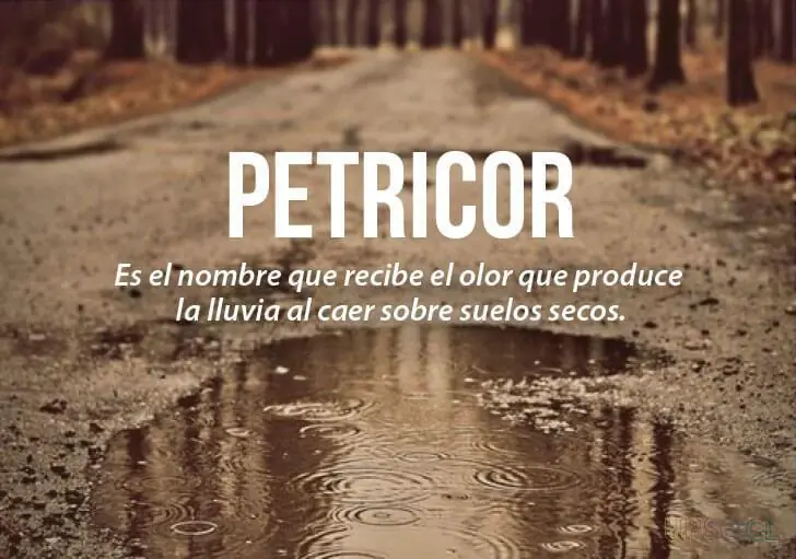palabras en ingles