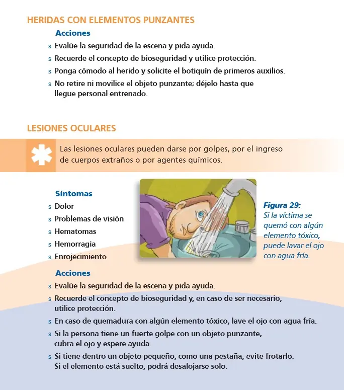 primeros