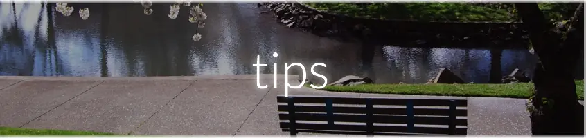Guía: Empezar a meditar Guía: Empezar a meditar