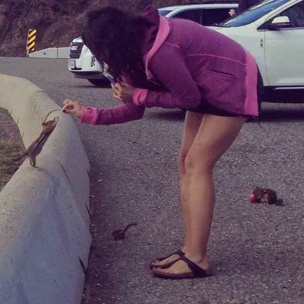 divercion