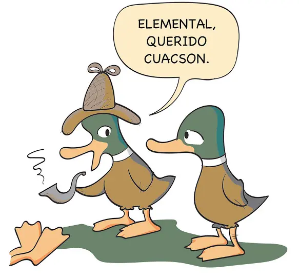 divertidas