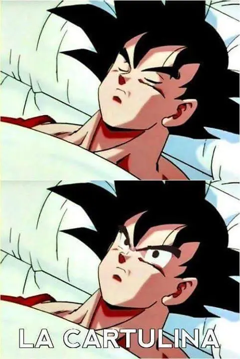 para el fin