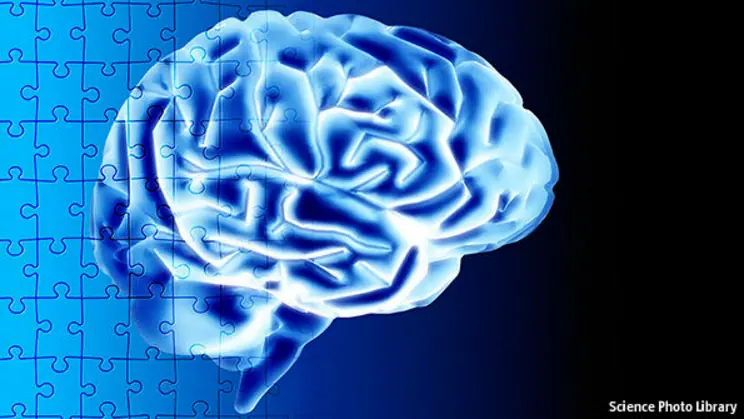 Las ganancias del cerebro