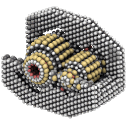 nanobots