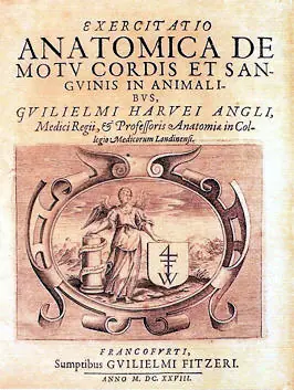 cirugia