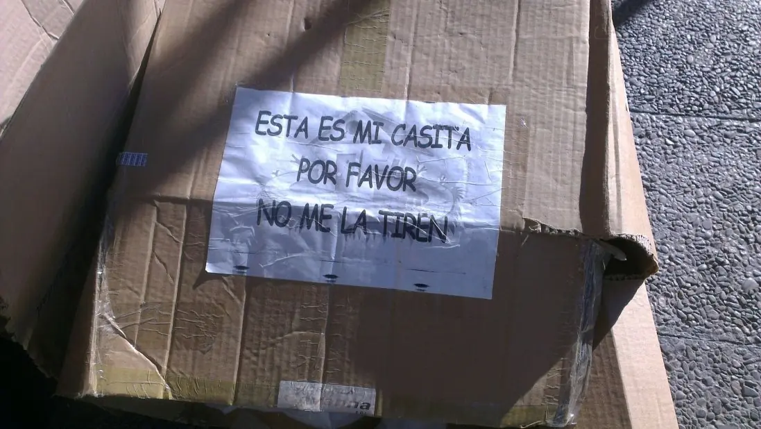 perro