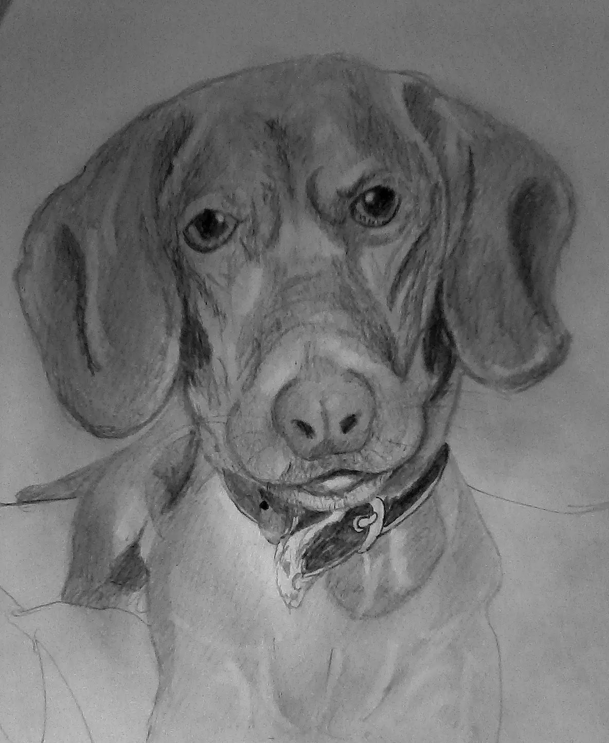 Che loco, Pasate a ver mis dibujos! (4)