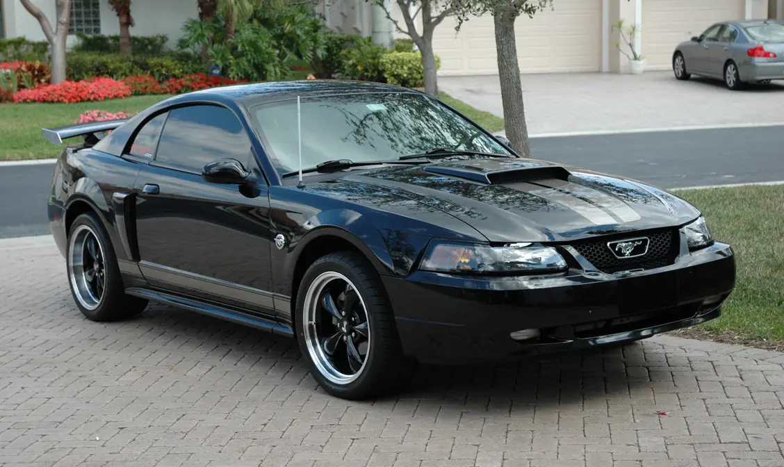 mustang cobra