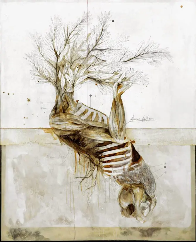 simbiosis
