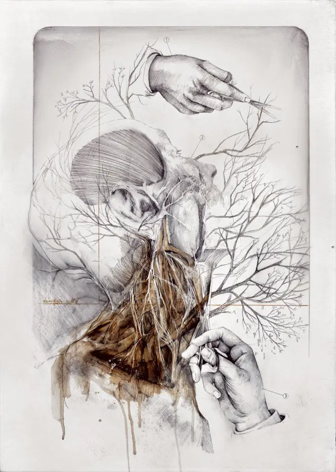 flora