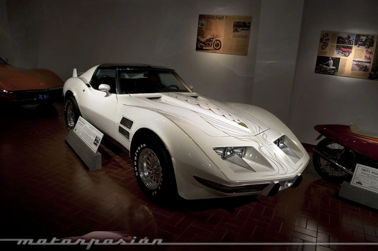 muscle
