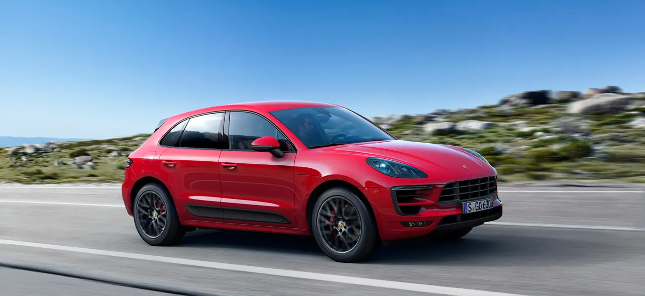 macan macan