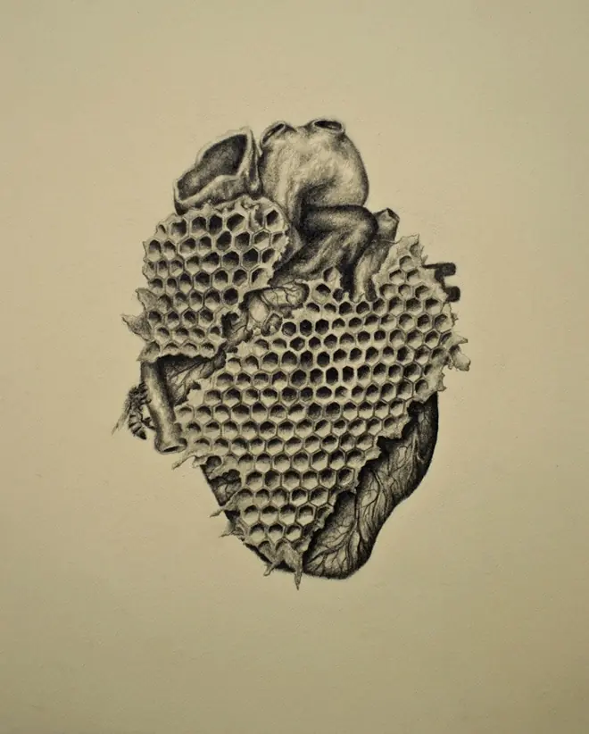 anatomia