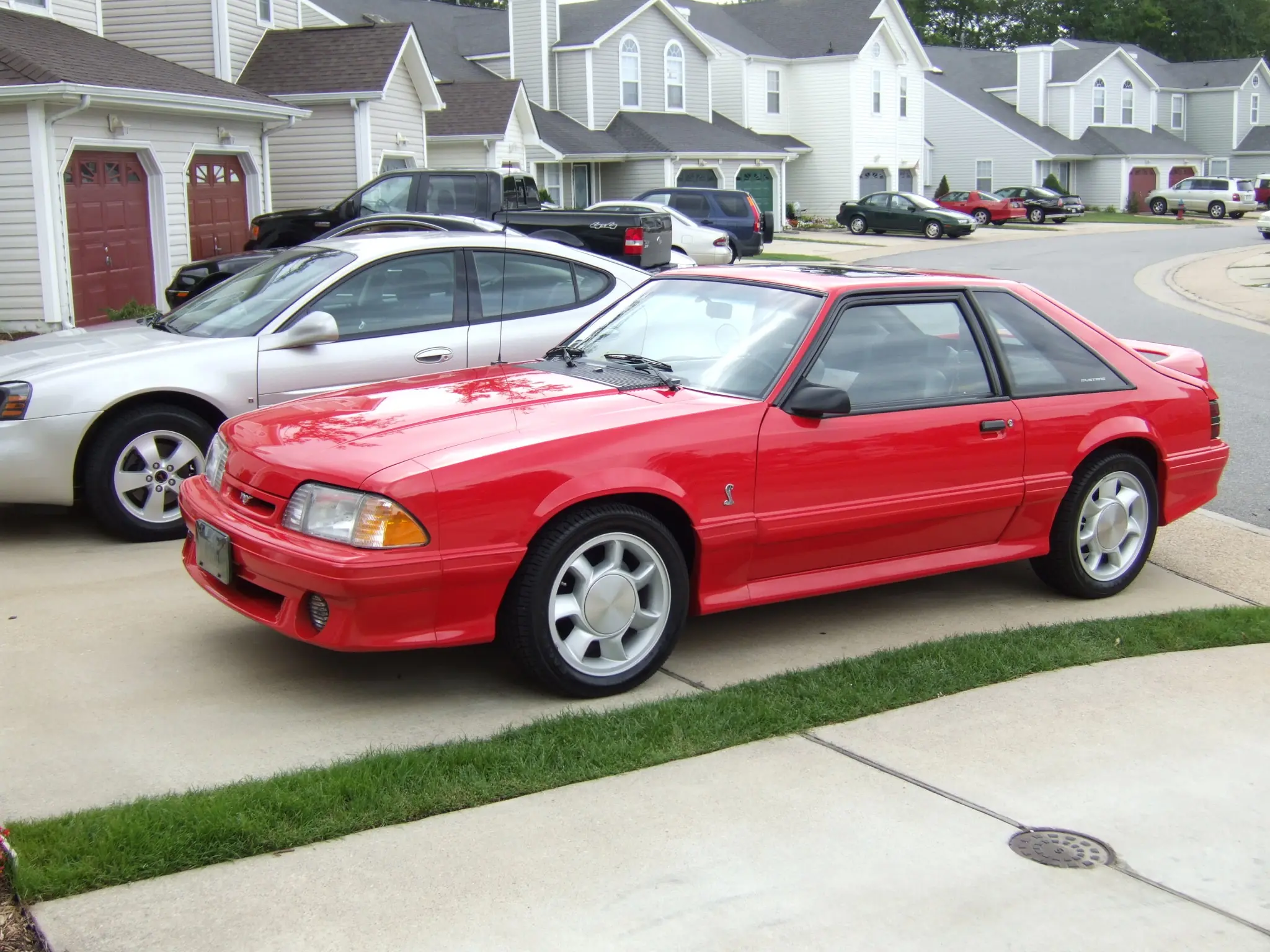 mustang cobra