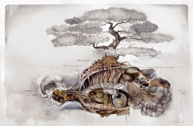 fauna