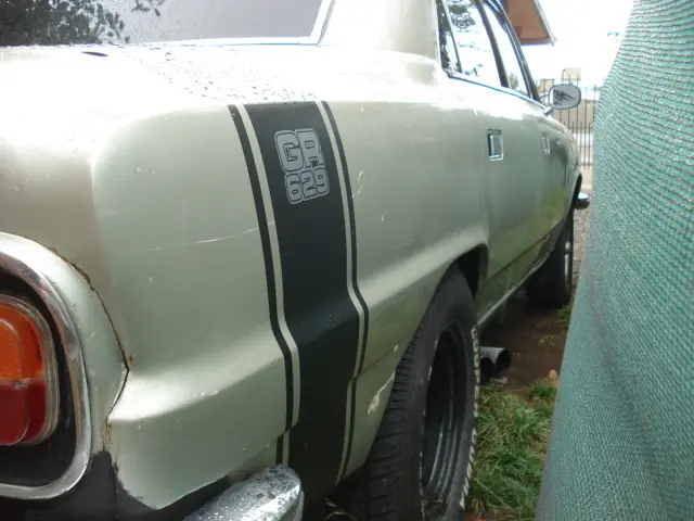 auto argentino