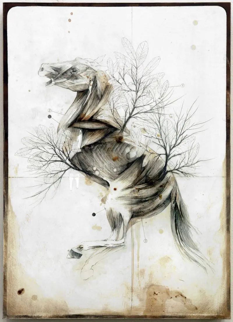 ilustraciones