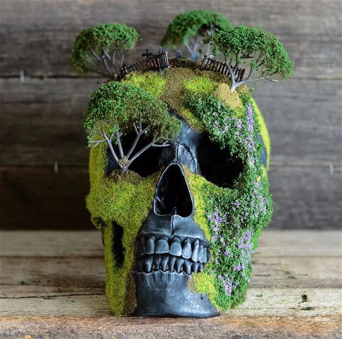 calaveras