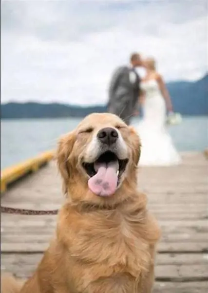 imagenes increibles