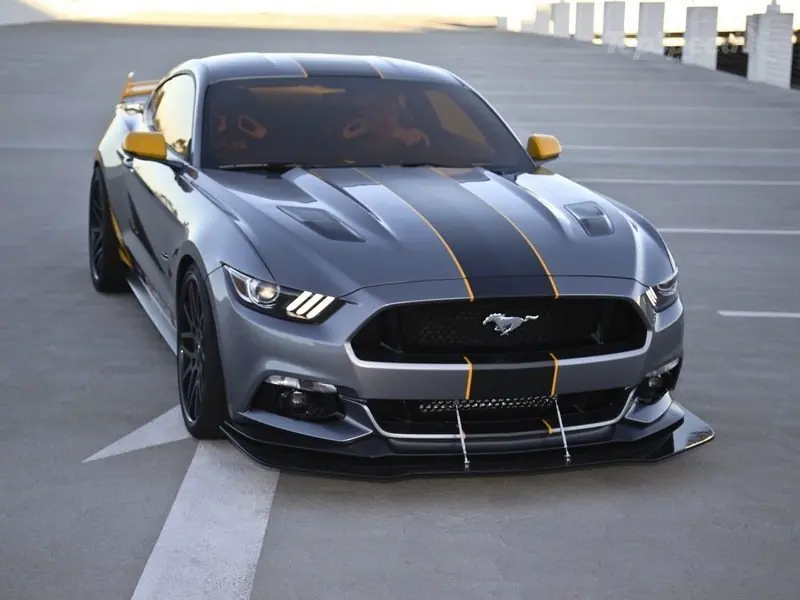 pasion