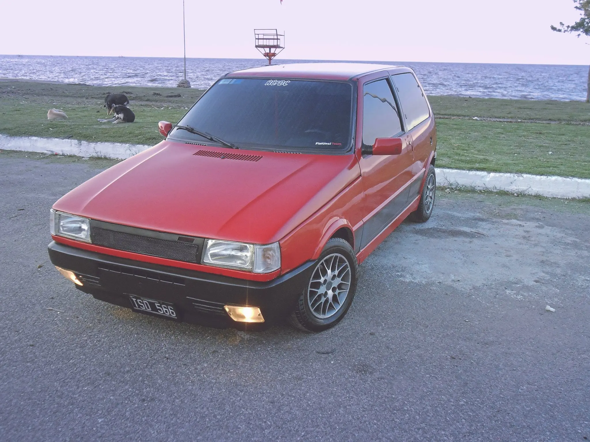 1994 1994