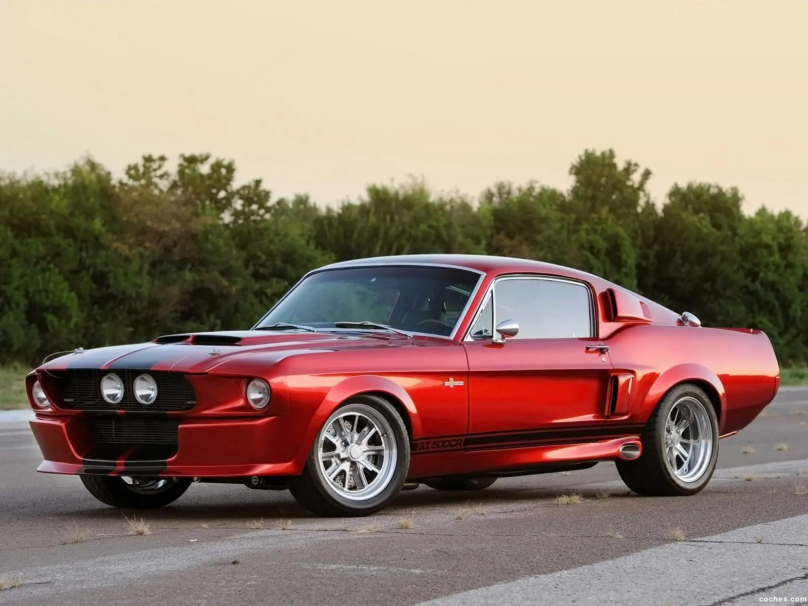 Muscle Cars