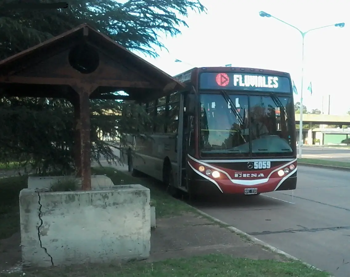 bondis