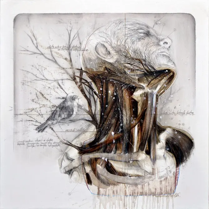Animales