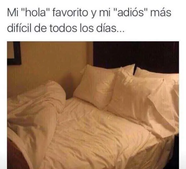 sociales