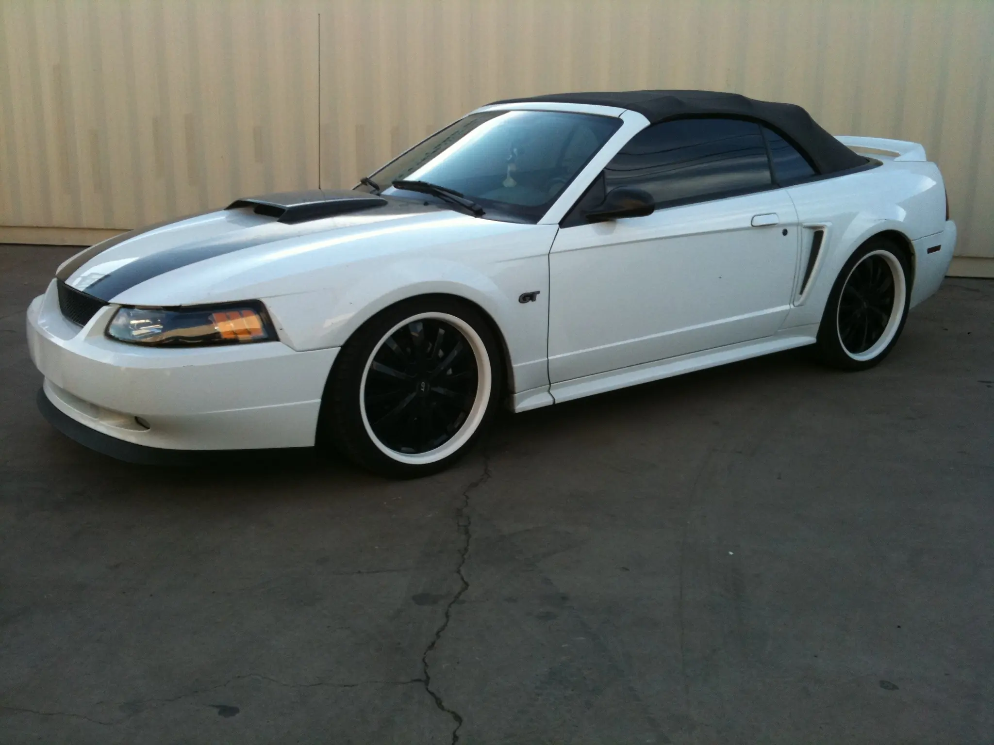 Muscle Cars