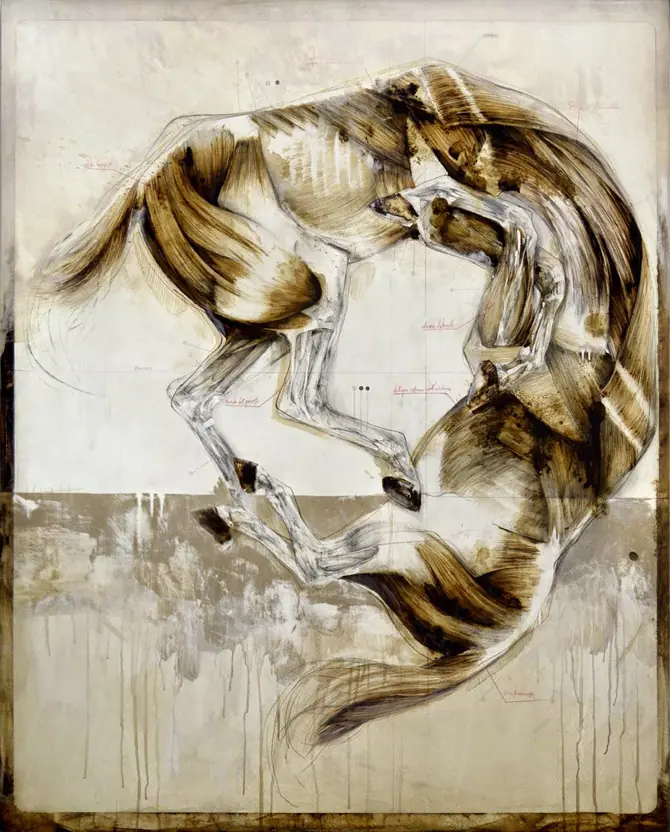 Animales
