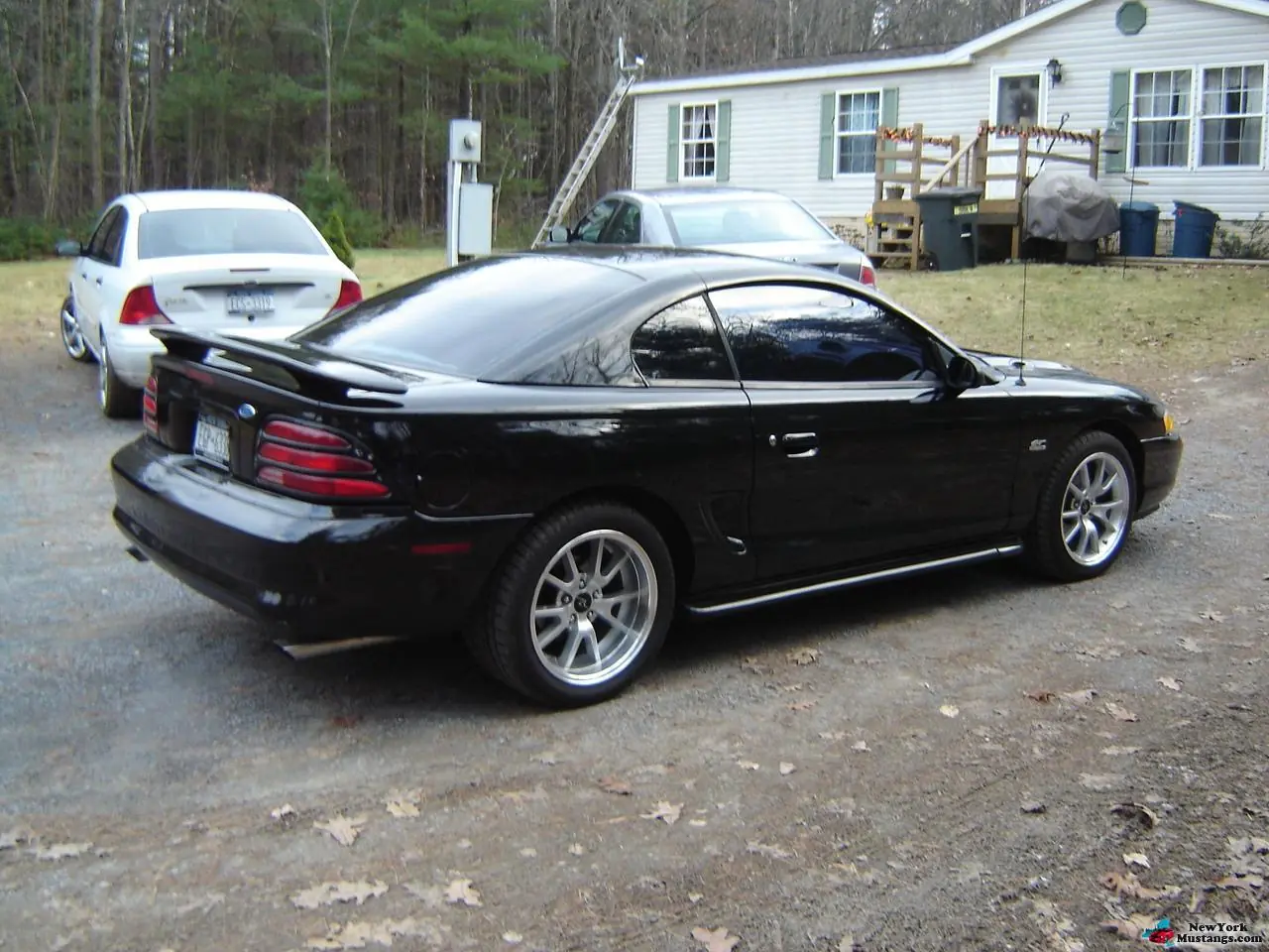 mustang