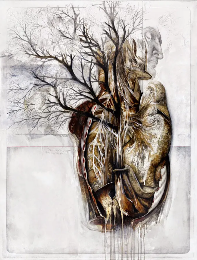 ilustraciones