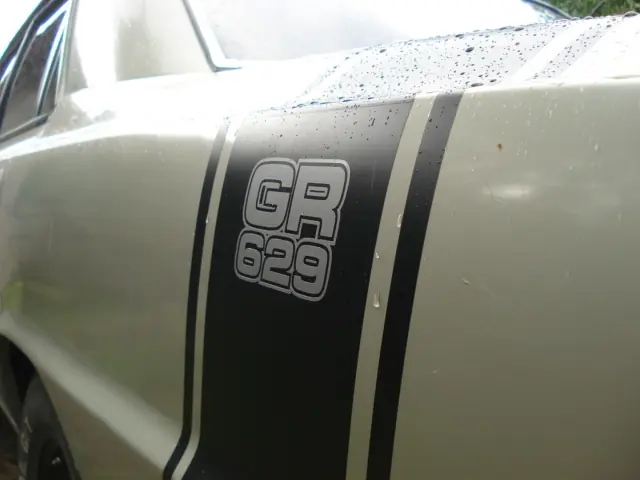 Torino GR 1980
