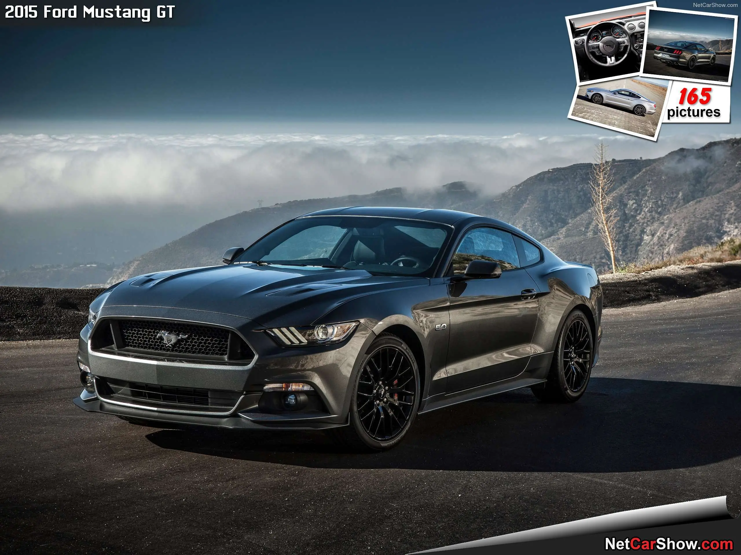 Muscle Cars
