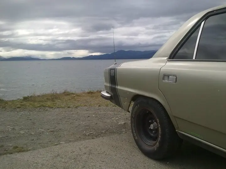 auto argentino