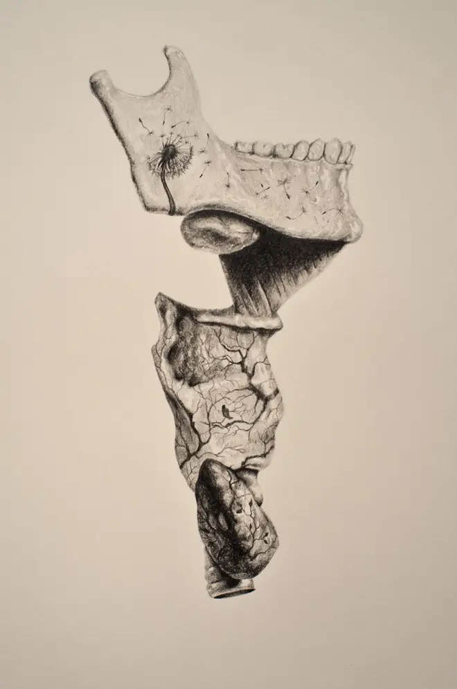 simbiosis