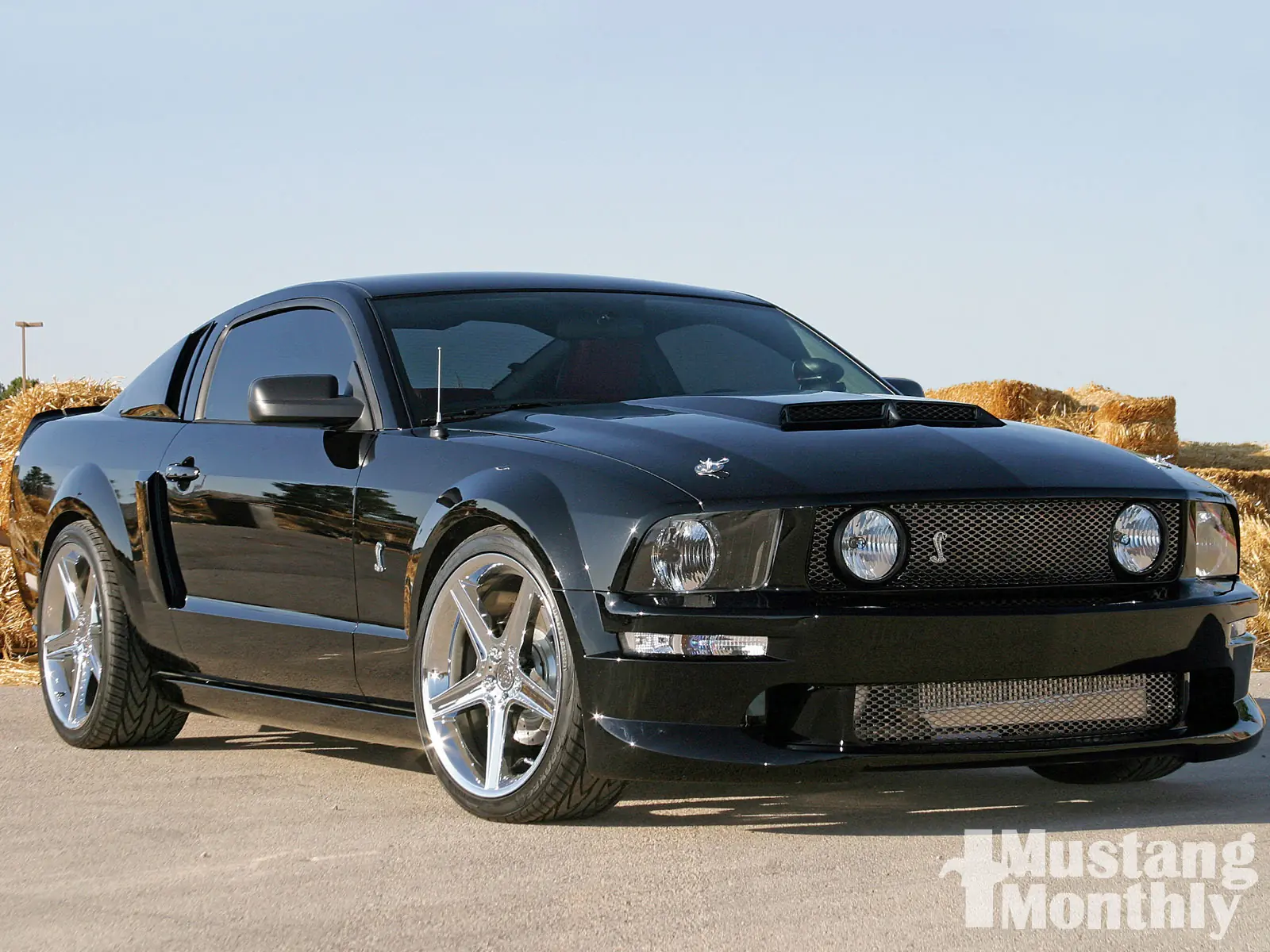 mustang