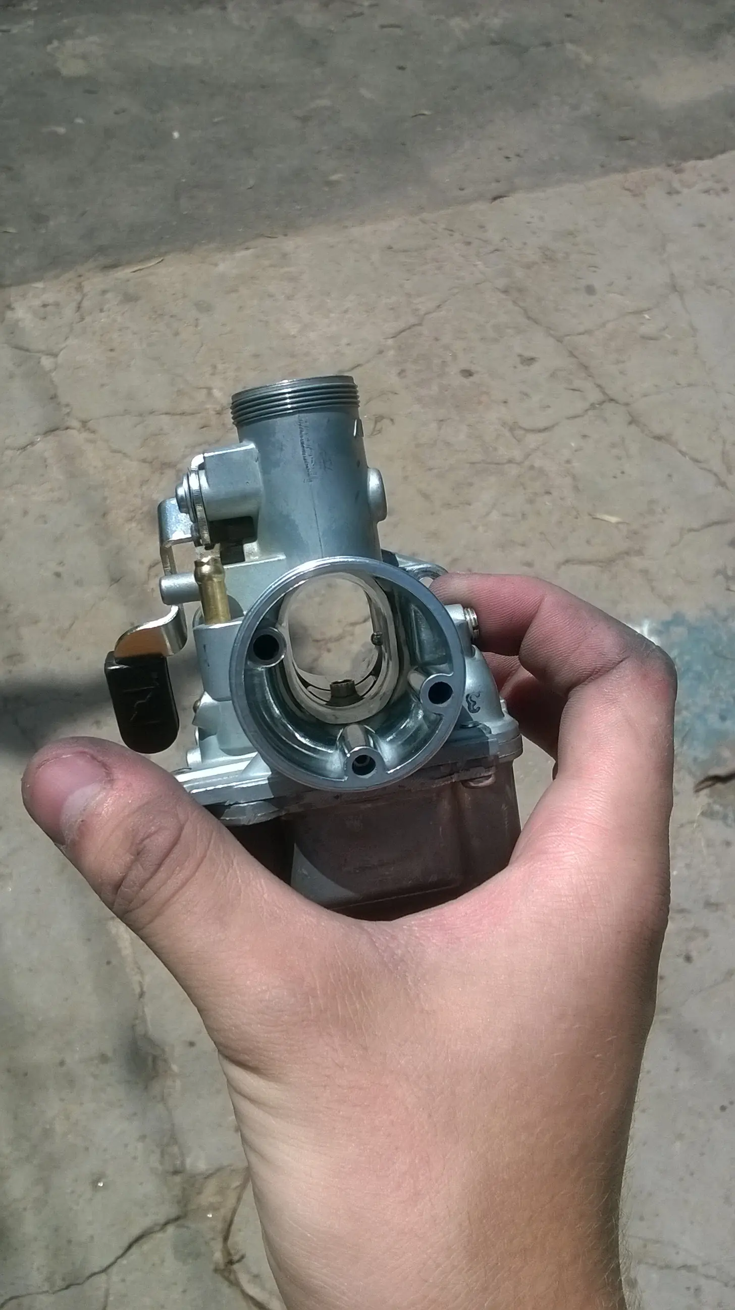 mikuni