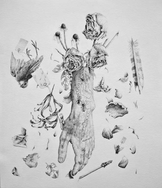 ilustraciones