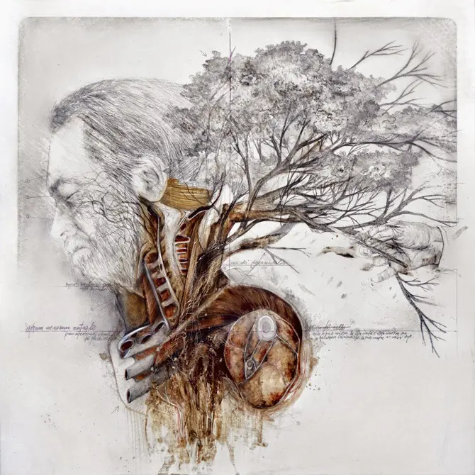 ilustraciones